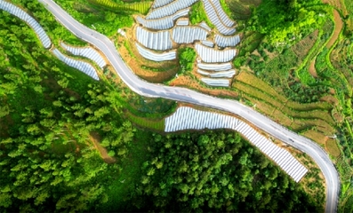 邵陽(yáng)市:隆回&ldquo;四好農(nóng)村路&rdquo;協(xié)奏&ldquo;鄉(xiāng)村振興曲&rdquo;