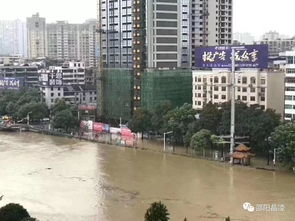 邵陽(yáng)挺住 2019.7.9洪水侵襲寶慶,洪峰過(guò)境全程大紀(jì)實(shí)