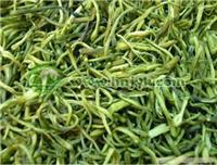 湖南邵陽/吉首金銀花種植_湖南邵陽/吉首金銀花種植高清大圖_湖南邵陽/吉首金銀花種植高清圖片_一比多產品庫