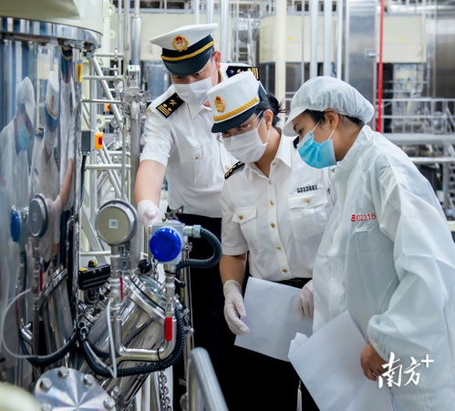 連續(xù)12個(gè)月正增長 惠州外貿(mào)上半年比增33.7